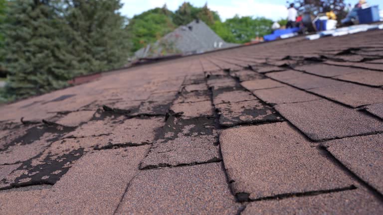 4 Ply Roofing in Granby, CO